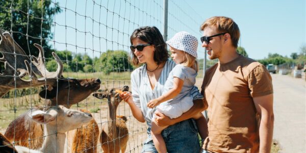 licence de zoo spécialisé